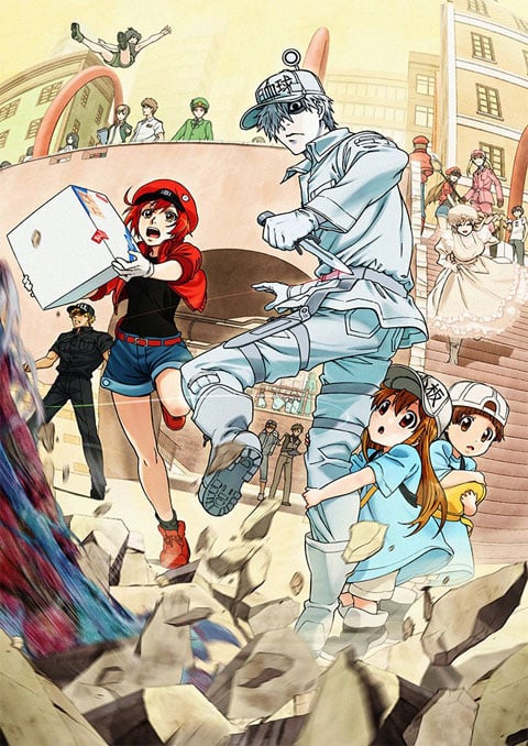 hataraku saibou เซลล์ขยัน พันธุ์เดือด (ภาค1)