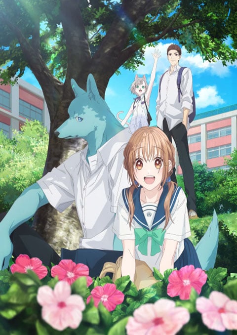 Kimi to Koete Koi ni Naru ก้าวข้ามรักต่างสายพันธุ์ ซับไทย